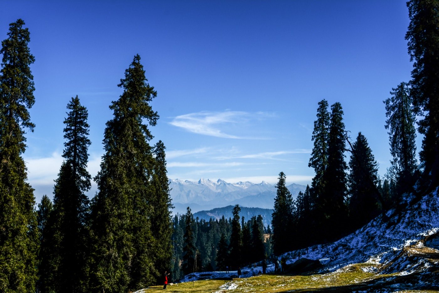 Hill Route Cabs — The road to Manali, photo 6 of 11