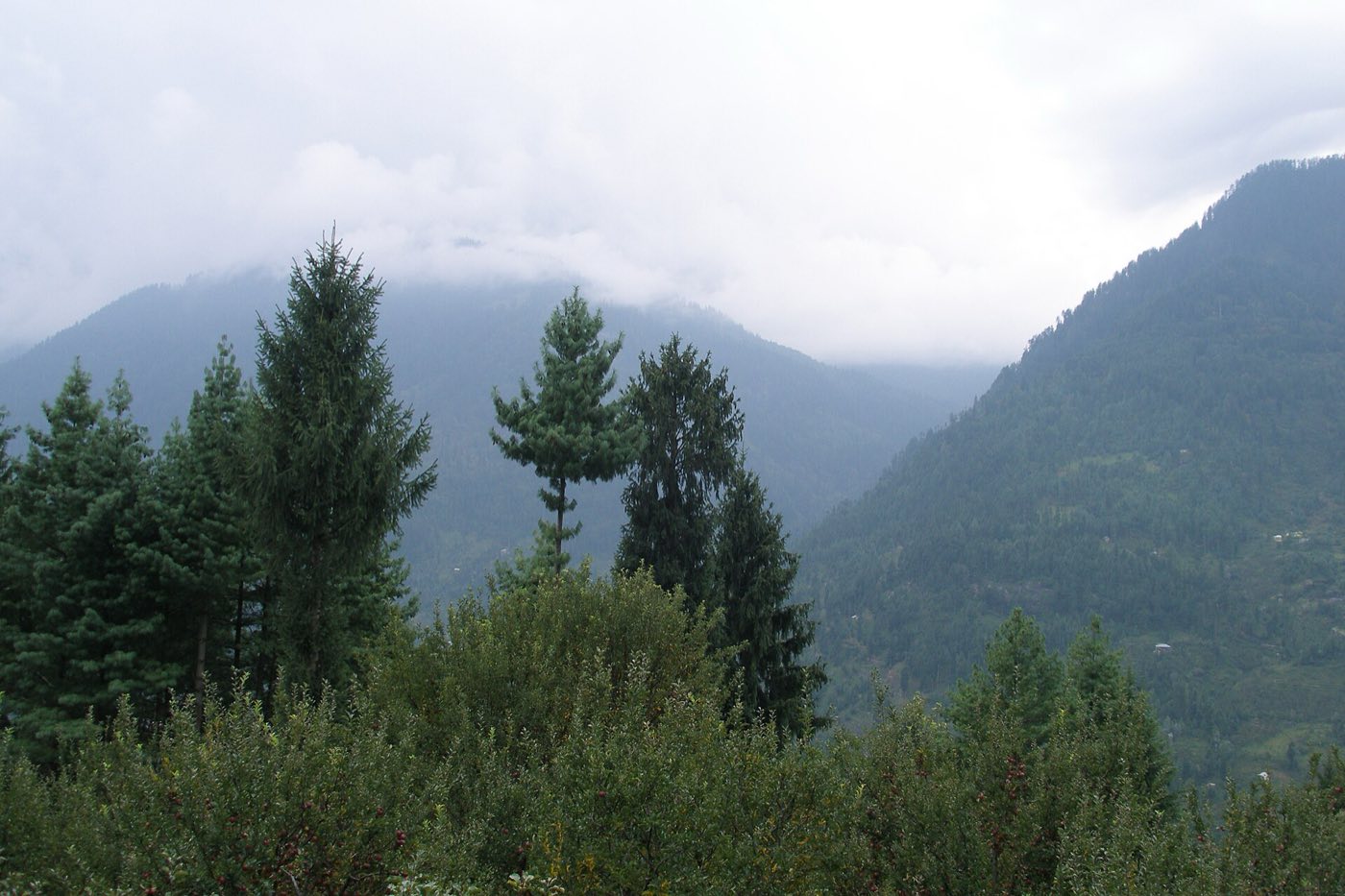 Hill Route Cabs — The road to Manali, photo 3 of 11